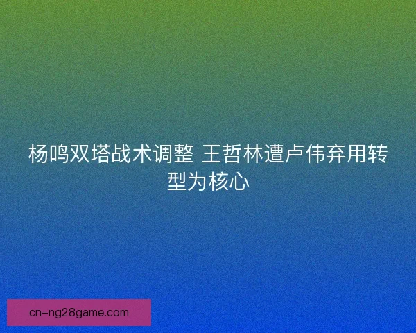 杨鸣双塔战术调整 王哲林遭卢伟弃用转型为核心