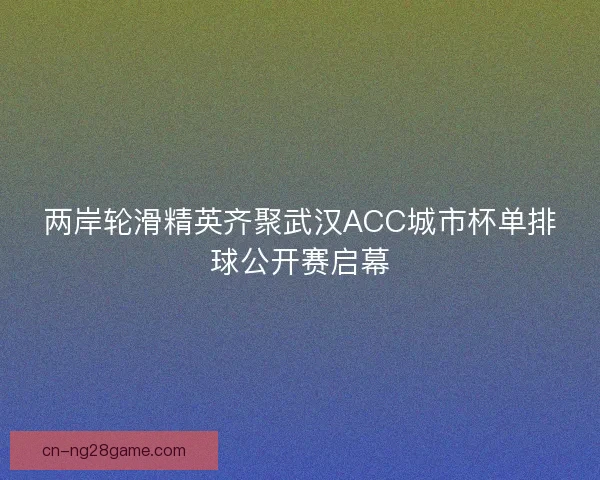 两岸轮滑精英齐聚武汉ACC城市杯单排球公开赛启幕