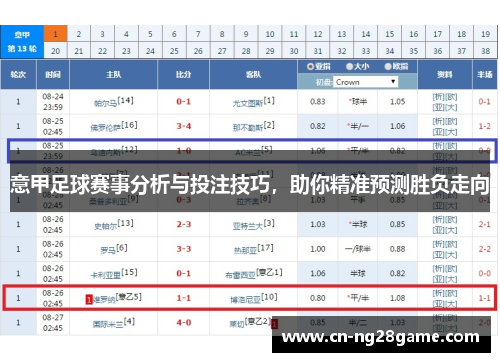 意甲足球赛事分析与投注技巧，助你精准预测胜负走向