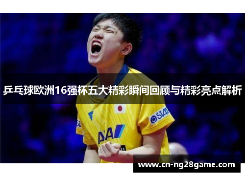 乒乓球欧洲16强杯五大精彩瞬间回顾与精彩亮点解析