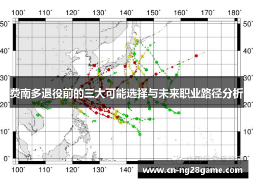 费南多退役前的三大可能选择与未来职业路径分析